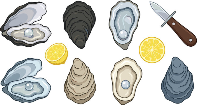 Fresh oyster shell seafood vector element collection featuring open oysters with pearls shucking knife lemon slices and closed raw clam mollusk isolated objects set