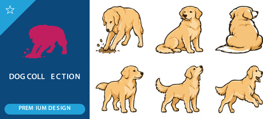 Obraz premium Set of cute golden retriever dog characters in various poses