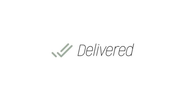 Message Delivered. Message Seen Green Tick. Sent Message. White