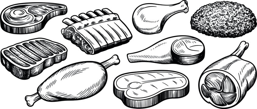 Hand drawn sketch meat products set with beef steak, pork ribs, ham, and chicken drumstick