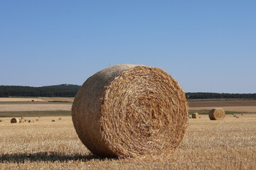 bales of hay © Eszter
