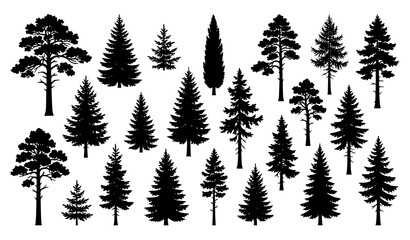 Obraz premium Pine Fir Spruce and Evergreen Tree Silhouette Collection Forest Nature Vector Illustration Set