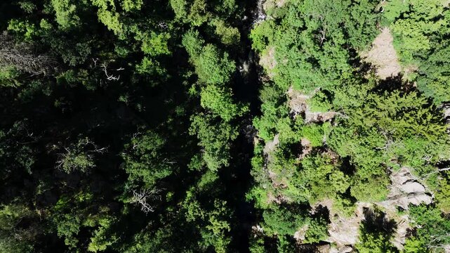 Bode Fluss und Wald aus der Vogelperspektive, Harz Sommer