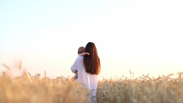 A mother with a seven-month-old baby walks into the distance in a wheat field