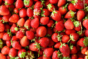 strawberries in the market © Sunday