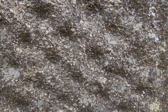 Detail of King Doniert's Stone Bodmin Moor Cornwall