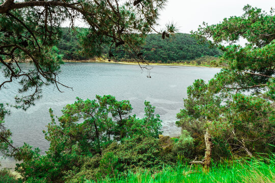 Cunda island Ayvalik Turkey Aegean Sea and nature