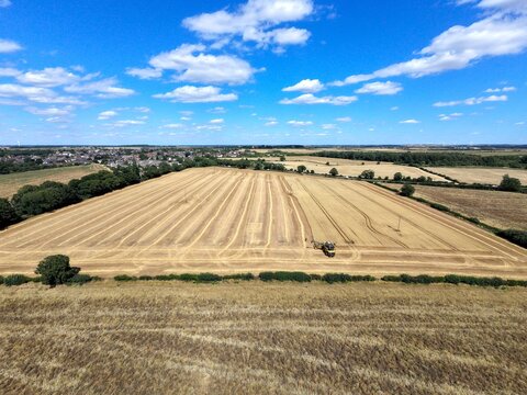 Aerial view of a combine harvester working in a large golden wheat field with harvested rows and surrounding green trees under a bright blue sky in Finedon, England, United Kingdom.