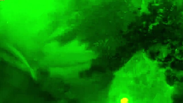 Tree Falling in Rain or Thunderstorm on House - Day - Home Camera Angle 01 Nightvision