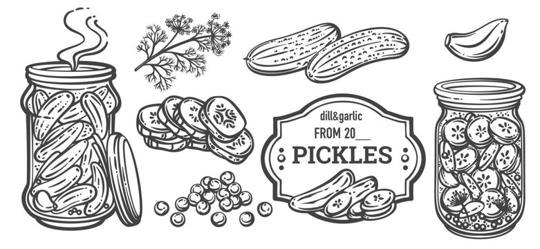 Pickle making set with jars, cucumbers, sliced pickles, dill, garlic and peppercorns. Recipe, label and packaging graphics featuring a pickle making set, monochrome vector illustration.