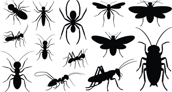 Insects silhouettes vector set featuring creeping crawling bugs spider cockroach ants beetle cricket flying gnats household garden pests
