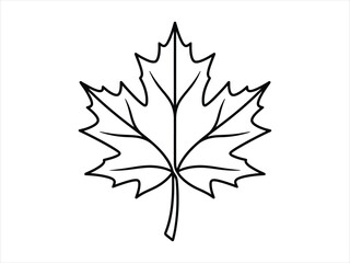 Fototapeta premium A simple black and white line art illustration of a single maple leaf isolated on a plain white background for design and coloring projects