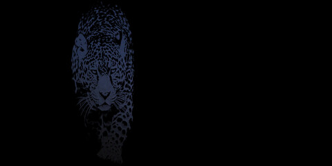 Black background with glowing blue outline of walking jaguar big cat predator. © Rk