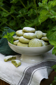 Mint Cookies with Powdered Sugar and Fresh Peppermint in Garden Setting