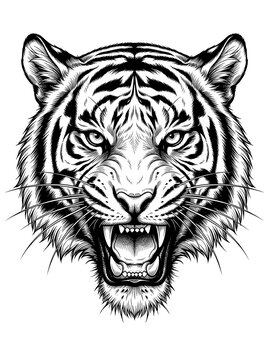 Bengal tiger head vector 