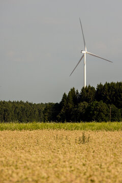 View of a modern wind turbine standing in a golden field with a dense forest background under a clear sky in Anyksciai, Utena County, Lithuania.