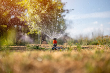 Obraz premium A lawn sprinkler irrigates a parched lawn on a hot summer day. Dry lawn caused by climate change. Watering the lawn.