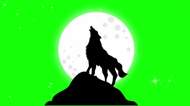 Green screen animated howling wolf silhouette isolated on hill against full moon with video black wolf graphic design chroma key hill front illustration background with wilderness