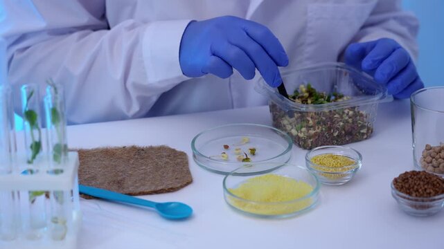 Synthetic biology and plant DNA design. Precision genome editing with next-generation CRISPR-Cas12b systems. Microinjection of a genetic cassette into a plant cell in vitro. Development of new
