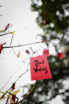 View of a red paper tag with calligraphy hanging from a tree branch at The Marble Mountains in Da Nang, Da Nang, Vietnam.