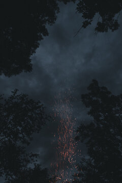 View of bonfire sparks rising into the dark night sky framed by silhouetted trees in Laane County, Estonia.