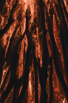 View of a large bonfire with glowing embers and flames rising from stacked logs during a traditional Midsummer celebration in Vormsi, Laane County, Estonia.