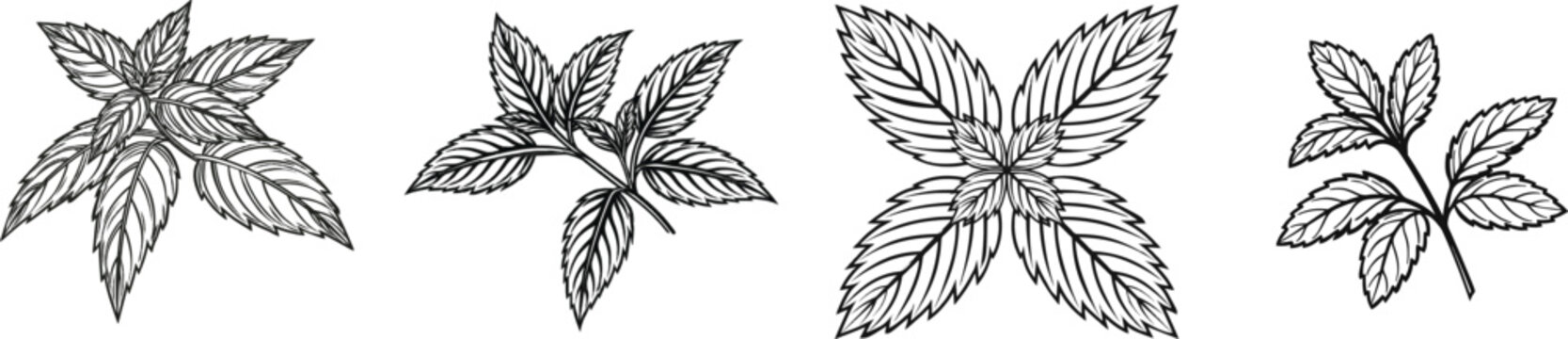 A minimalist black-and-white illustration features two peppermint sprigs forming a balanced symmetrical floral cross against a white background