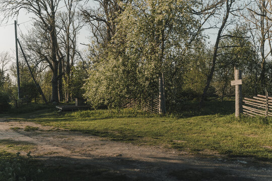 Laane County, Estonia - 19 May 2024: View of Vormsi island landscape with a dirt path, traditional wooden fencing, and blooming spring trees under soft golden hour light.