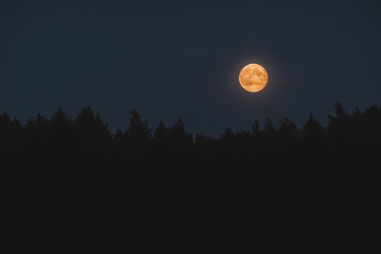 View of a full moon rising above the dark silhouette of a forest at night in Laane County, Estonia.