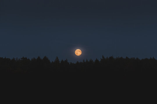 View of the full moon rising over the dark silhouette of a forest on Vormsi island in Laane County, Estonia.