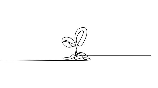 growth tree continuous one line drawing animation, growing tree animation continuous one line drawing, Animated self drawing of continuous line draw of step of grow plant, Plant Sprout in the ground