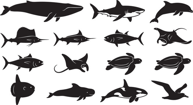 Set of black silhouette showing large marine animals such as whales, sharks, dolphins, rays, and sea turtles on white background