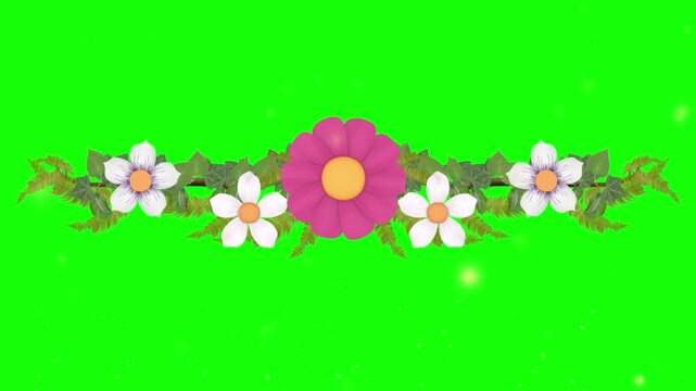 Animated floral dividers featuring pink and white flowers with green leaves for decorative border designs with video horizontal animation distinct floral ornaments green foliage isolated