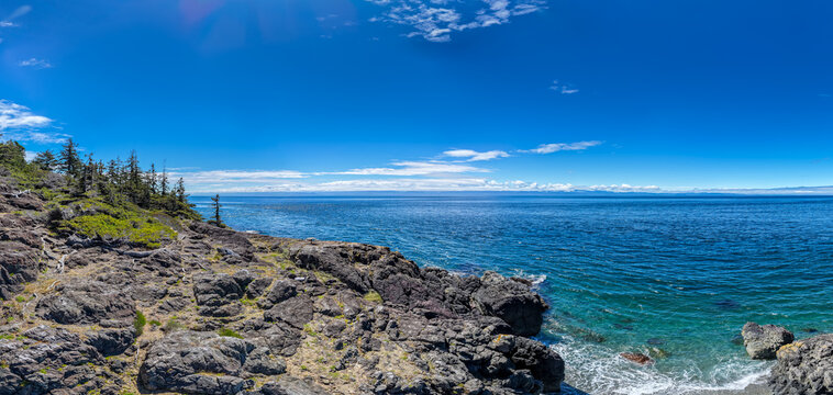 Rocky Coastal Ocean View at Sooke, Vancouver Island, British Columbia, Canada With Pine Trees