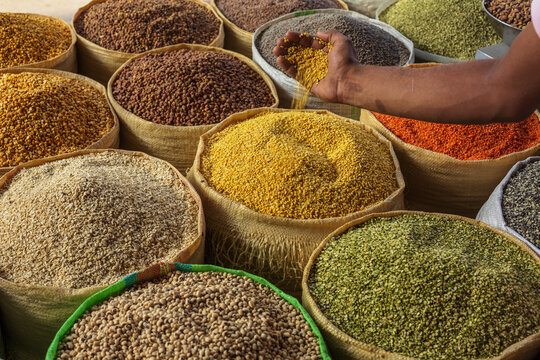 View of a hand pouring yellow grains into large burlap sacks filled with various pulses and lentils at the Akbari Mandi grain market in Lahore, Punjab, Pakistan.