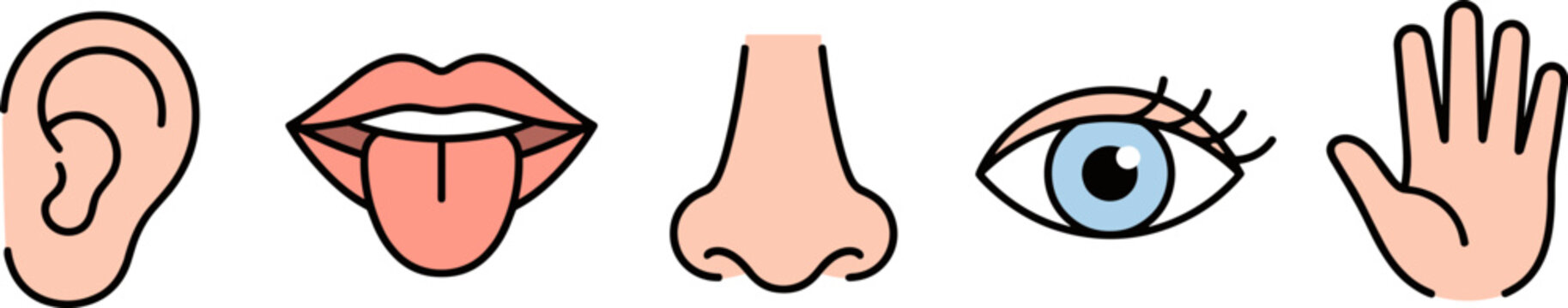 Five human senses icons set, including ear, mouth, nose, eye and hand