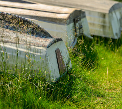 Weathered rowboats stored upside down in lakeside grass.