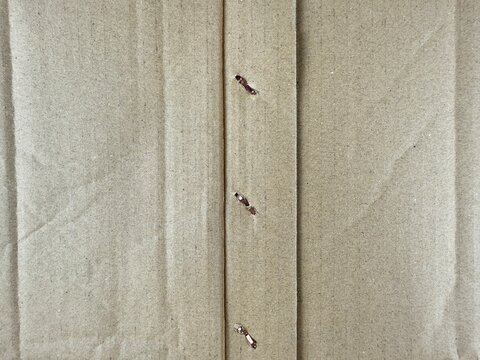 Brown cardboard box seam with metal staples