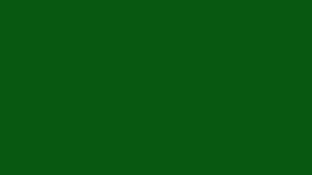 Luxury white glitter sparkles line trail, glowing pixie dust ribbon,  christmas sparkle path, isolated green screen overlay, seamless motion graphics,4k
