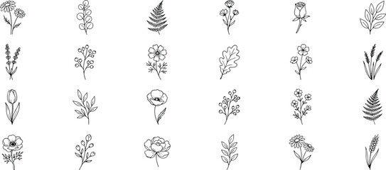 Botanical floral line art set featuring hand drawn wild flowers leaves rose tulip eucalyptus fern and branches for wedding design stock vector © Shirin