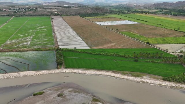 Aerial of rock wall protecting rice fields from muddy river flood