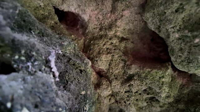 Xemxija, Malta 29.07.2026 - Heritage trail, Roman Baths, shelf like cut in the stone Dark cave walls show rough, textured surfaces. Greenish moss grows on damp, uneven stone. Light filters through nar