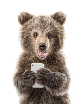 Cute brown bear cub holding smartphone and smiling front view isolated on transparent background