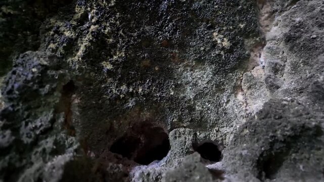 Xemxija, Malta 29.07.2026 - Heritage trail, Roman Baths, shelf like cut in the stone Dark cave walls show rough, textured surfaces. Greenish moss grows on damp, uneven stone. Light filters through nar
