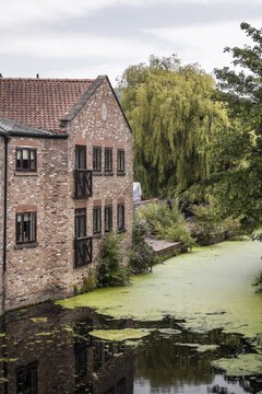 View of a historic red brick building reflecting in a canal covered with green duckweed, surrounded by lush willow trees in York, England, United Kingdom.