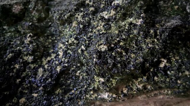 Xemxija, Malta 29.07.2026 - Heritage trail, Roman Baths, shelf like cut in the stone Dark cave walls show rough, textured surfaces. Greenish moss grows on damp, uneven stone. Light filters through nar