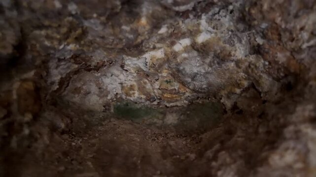 Xemxija, Malta 29.07.2026 - Heritage trail, Roman Baths, shelf like cut in the stone Dark cave walls show rough, textured surfaces. Greenish moss grows on damp, uneven stone. Light filters through nar