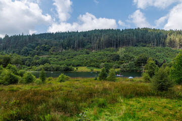 Fototapeta premium Mountian trail between Llyn Crafnant and Llyn Geirionydd Gwydir Forest Betws Y Coed