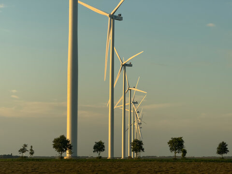 View of a row of wind turbines standing in a field with trees during golden hour in Zwolle, Overijssel, Netherlands.