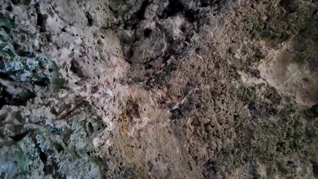 Xemxija, Malta 29.07.2026 - Heritage trail, Roman Baths, shelf like cut in the stone Dark cave walls show rough, textured surfaces. Greenish moss grows on damp, uneven stone. Light filters through nar